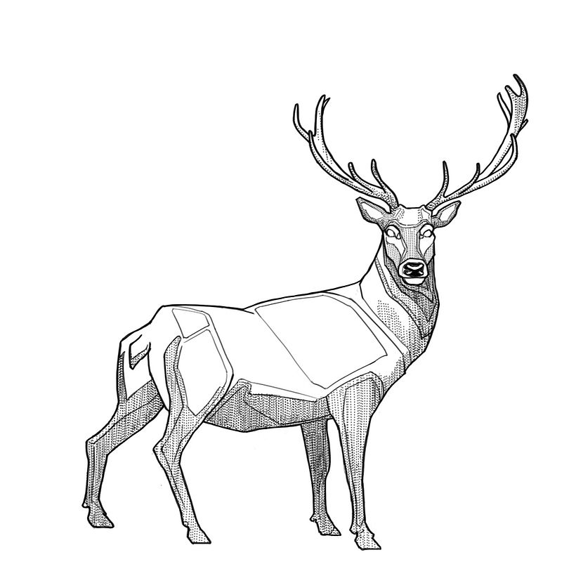 Stag