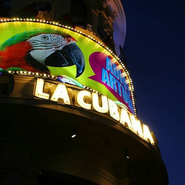 Mi Proyecto del curso: Fotografía con luz natural: captura imágenes expresivas 11