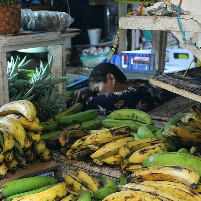 Mi Proyecto del curso: Fotografía con luz natural: captura imágenes expresivas 12