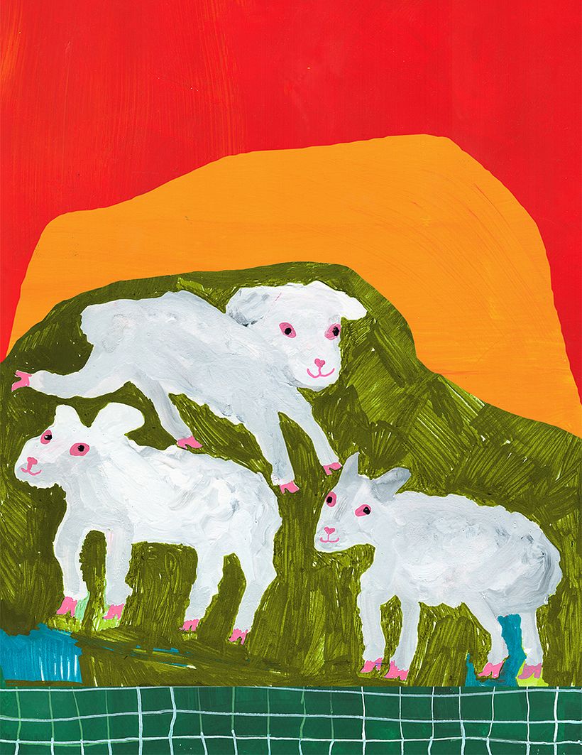 Book illustrations 2