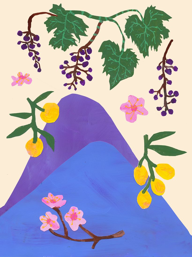 Book illustrations 5