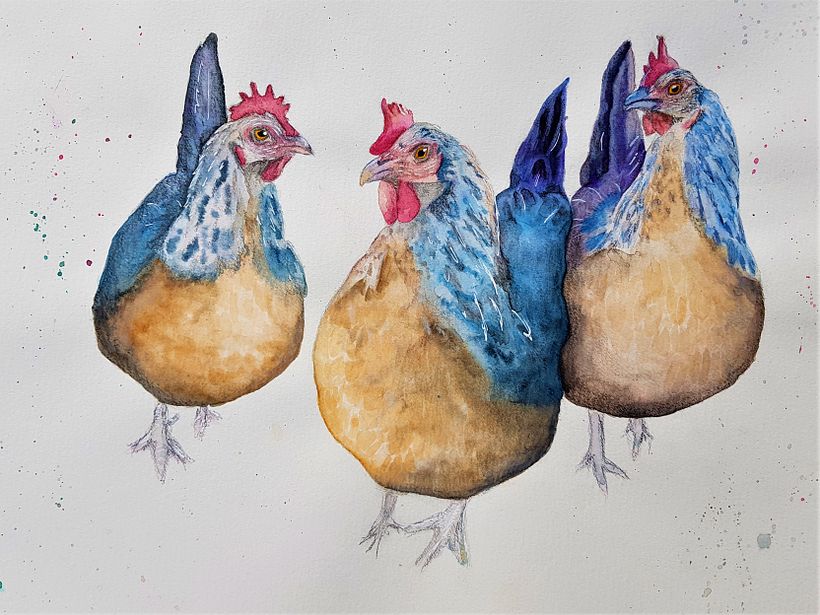 My project in Artistic Watercolor Techniques for Illustrating Birds course 3