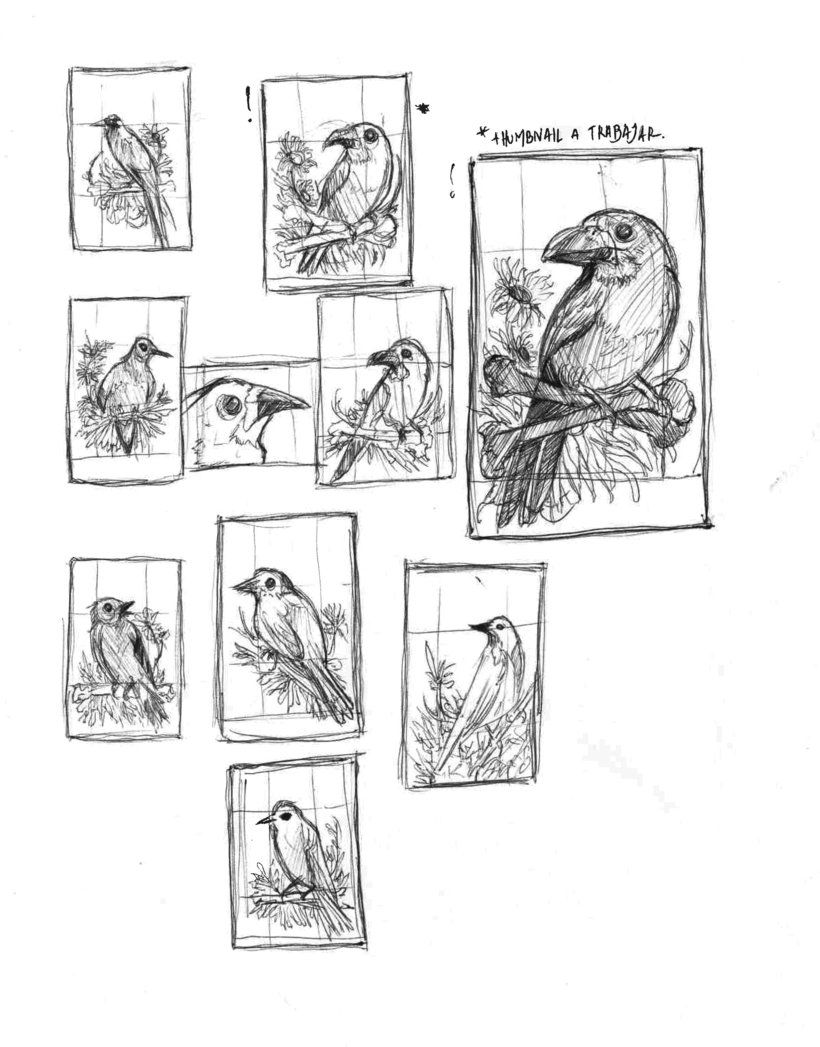Ilustración naturalista con bolígrafo 6