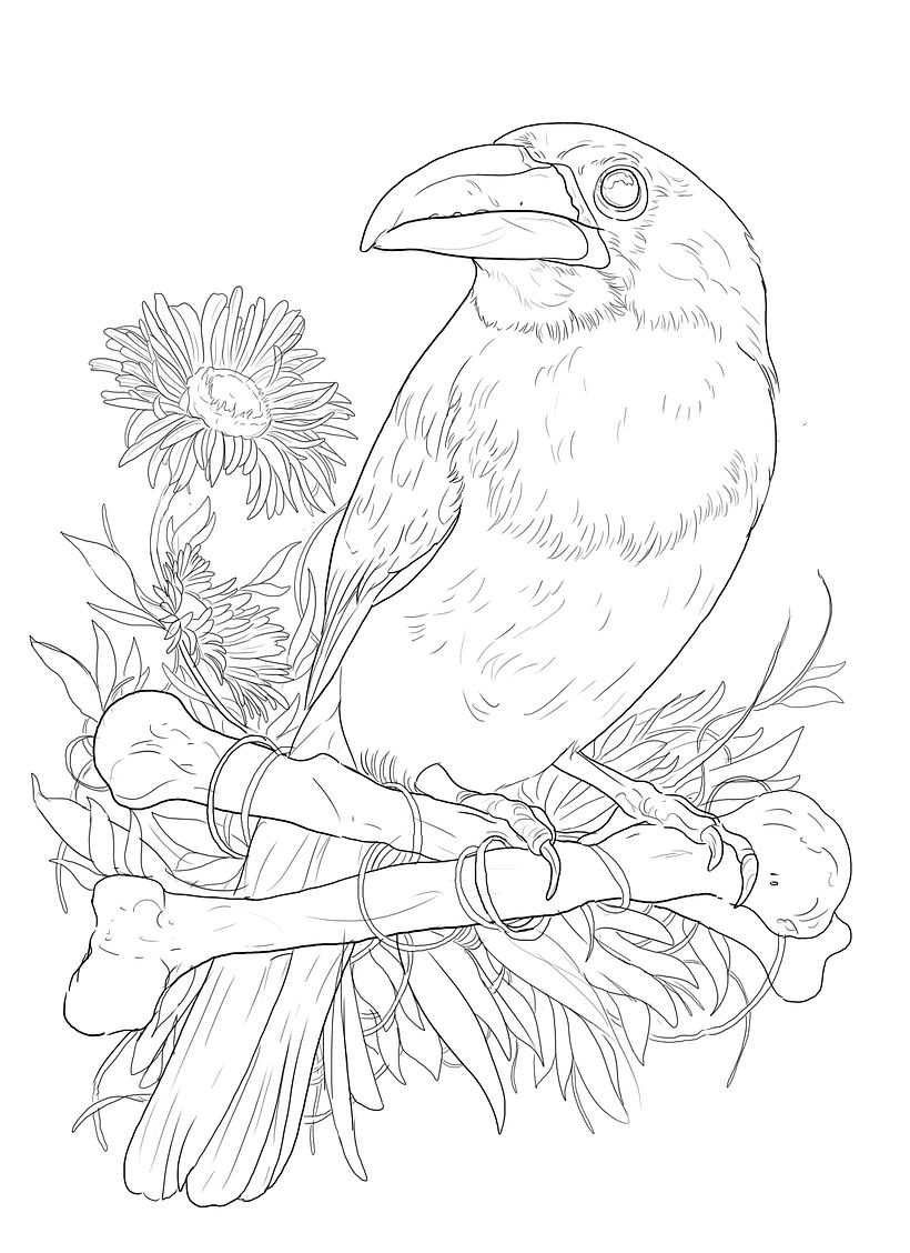 Ilustración naturalista con bolígrafo 8