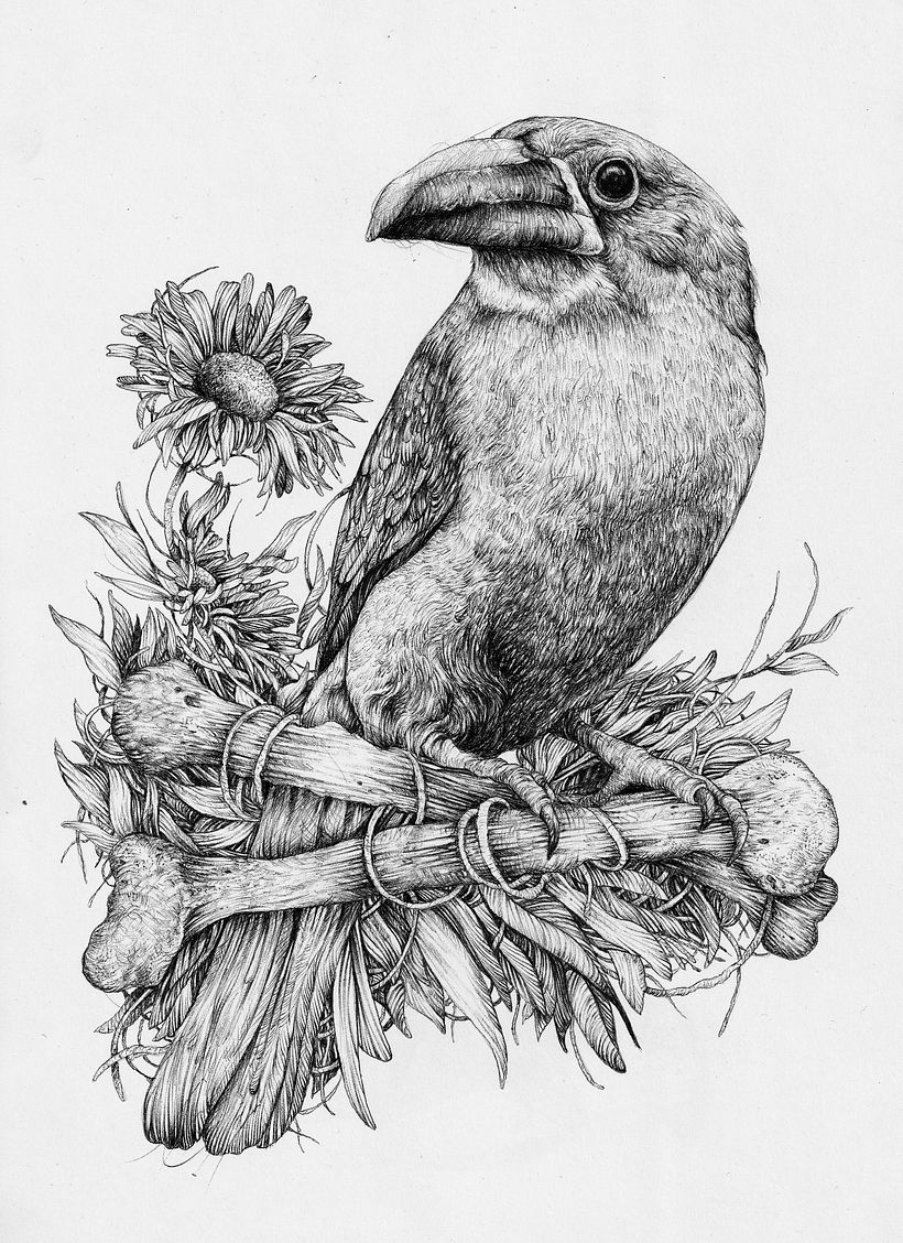Ilustración naturalista con bolígrafo 19
