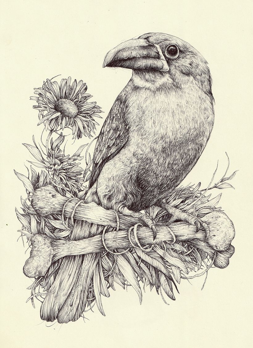 Ilustración naturalista con bolígrafo 17