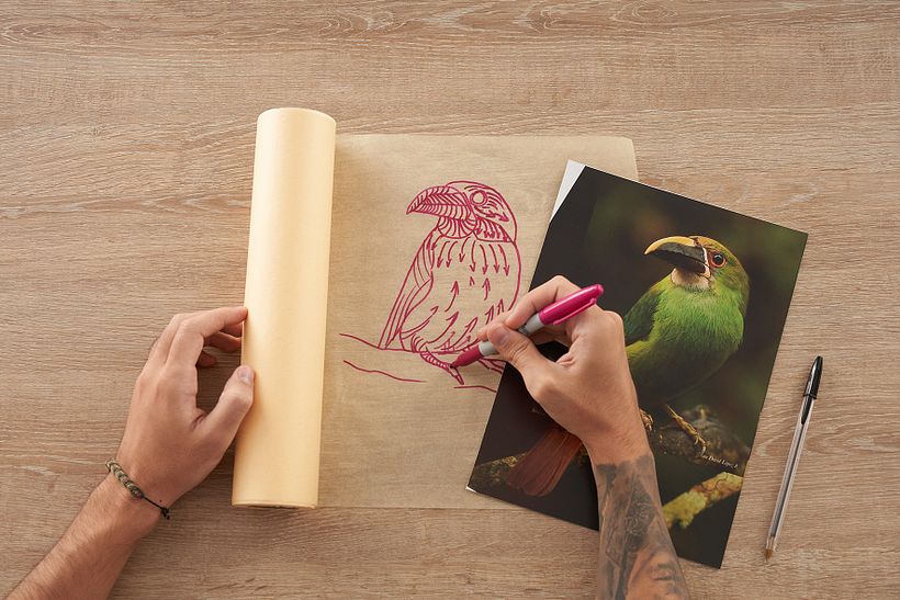 Ilustración naturalista con bolígrafo 10