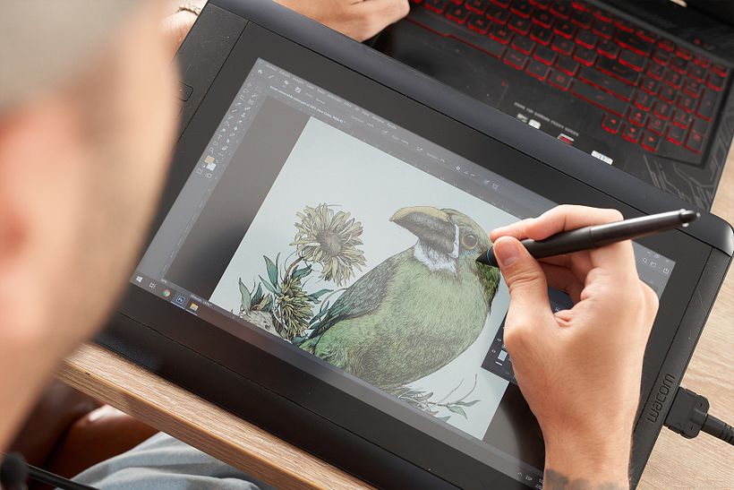 Ilustración naturalista con bolígrafo 21