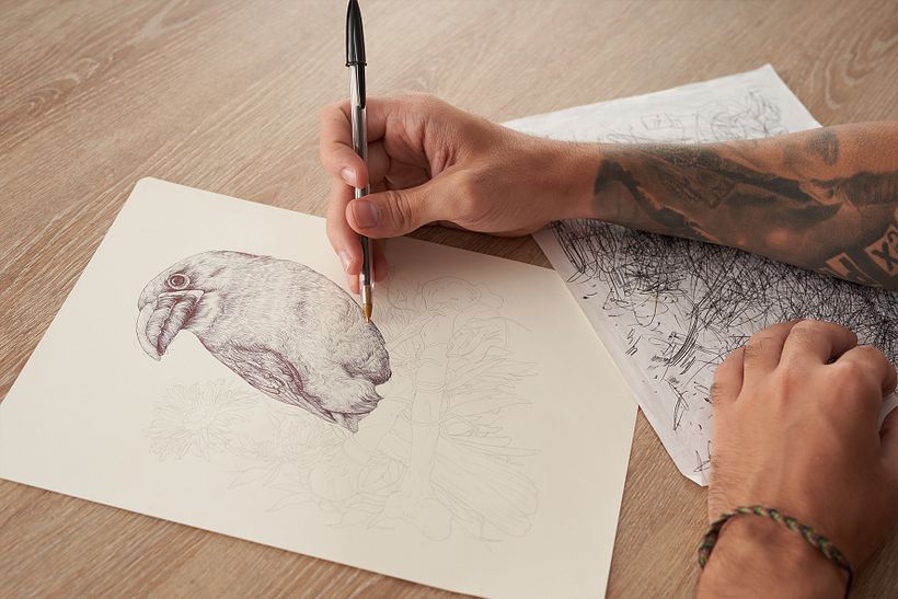 Ilustración naturalista con bolígrafo 12
