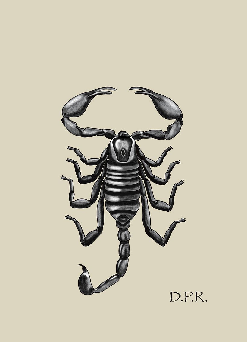 Scorpion
