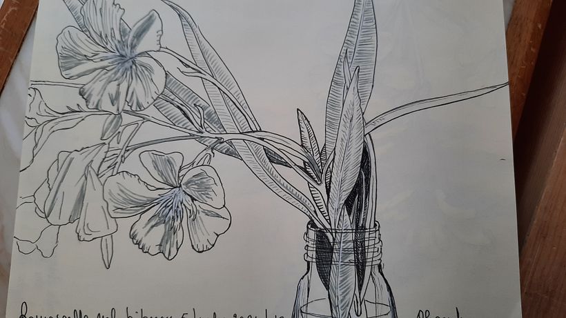 Il mio progetto del corso   Sketchbook botanico: un approccio meditativo 8