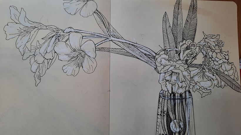 Il mio progetto del corso   Sketchbook botanico: un approccio meditativo 9