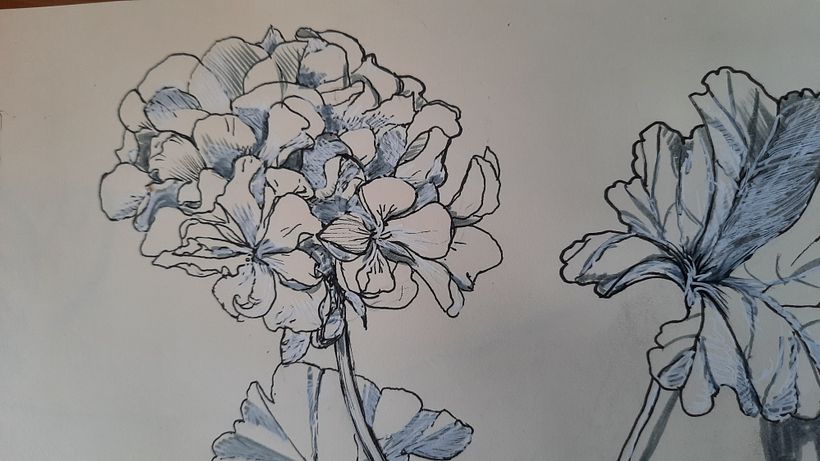 Il mio progetto del corso   Sketchbook botanico: un approccio meditativo 10