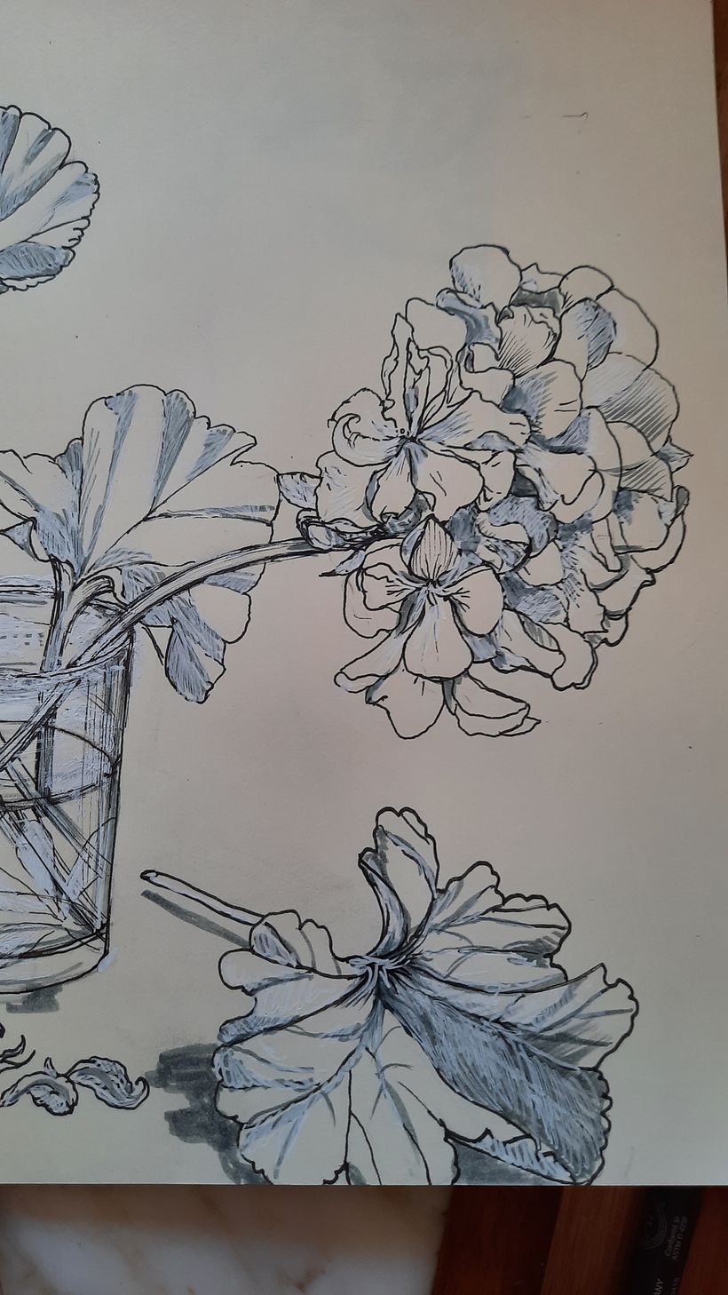 Il mio progetto del corso   Sketchbook botanico: un approccio meditativo 11