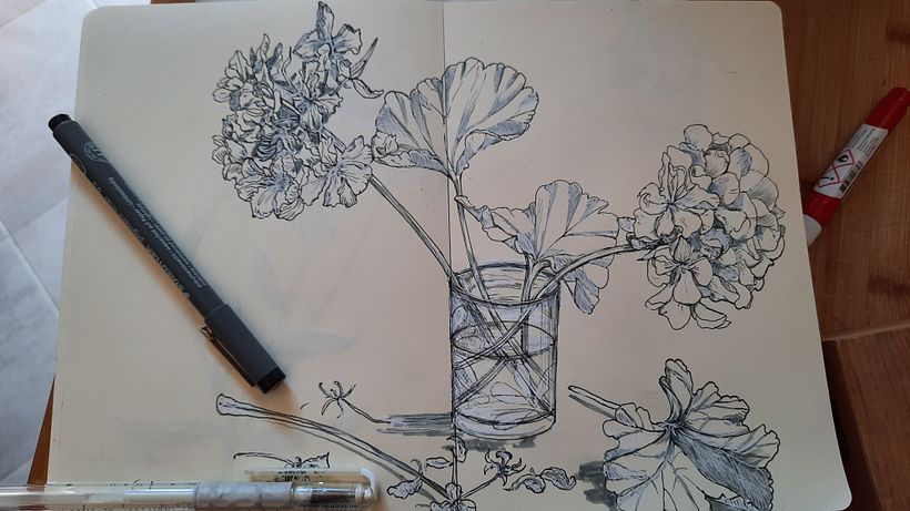 Il mio progetto del corso   Sketchbook botanico: un approccio meditativo 12