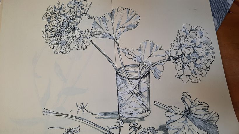 Il mio progetto del corso   Sketchbook botanico: un approccio meditativo 13