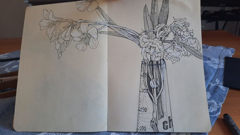 Il mio progetto del corso   Sketchbook botanico: un approccio meditativo 14