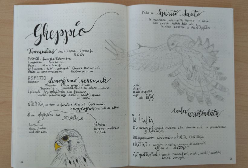Il mio progetto del corso: Introduzione al bullet journal illustrato 4