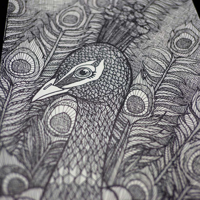 Peacock, pen on paper, 2015