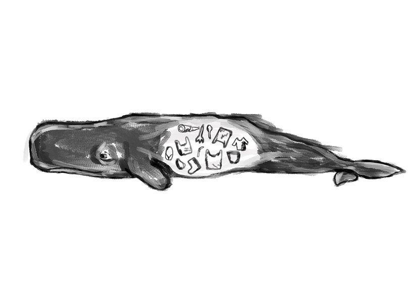 A whale that ate trash, digital painting, 2018