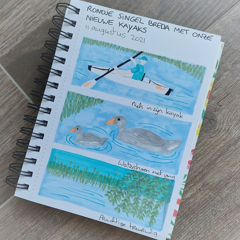 What I saw during our kayak trip on August 11th