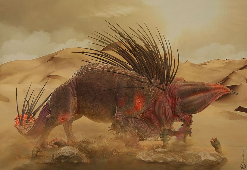 "Desert attack" 4