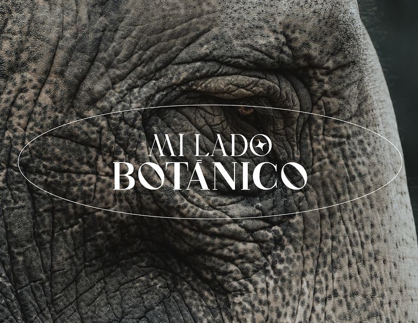 Mi Lado Botánico - Ilustración tradicional