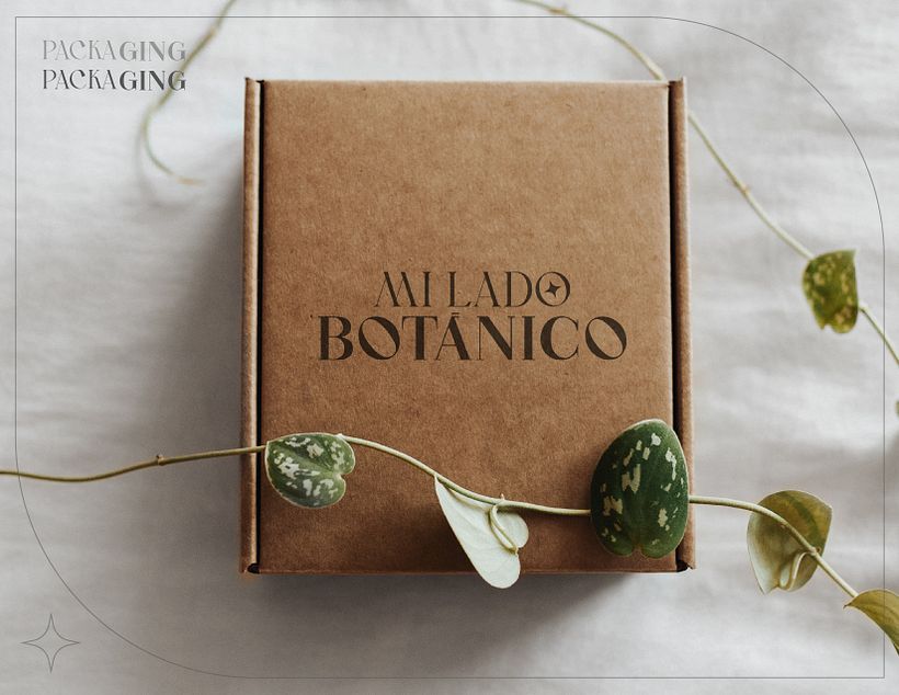 Mi Lado Botánico - Ilustración tradicional