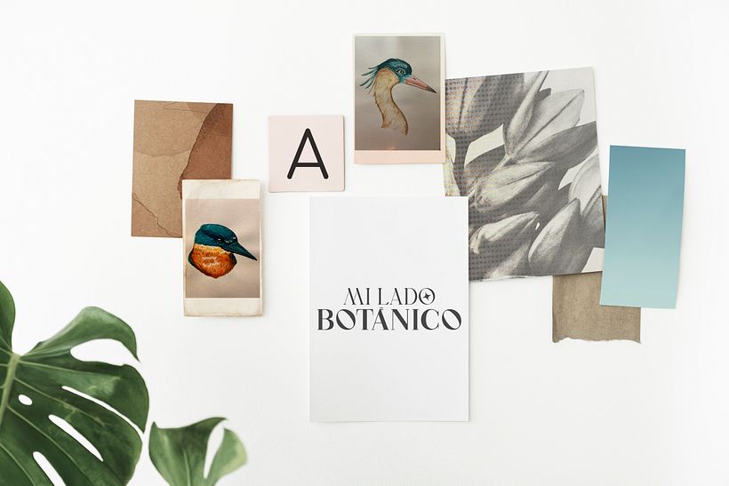 Mi Lado Botánico - Ilustración tradicional