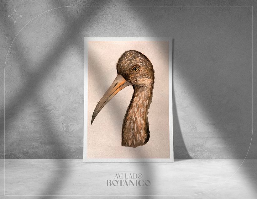 Mi Lado Botánico - Ilustración tradicional