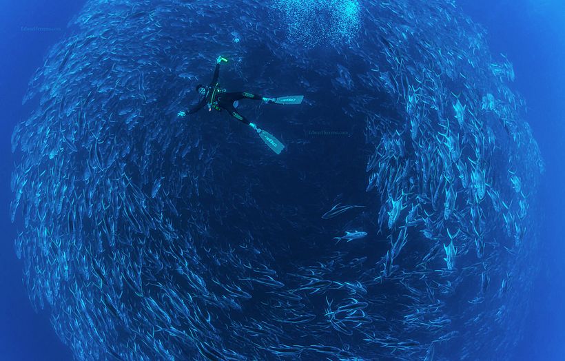 Edwar Herreno works as a guide for documentary film crews.