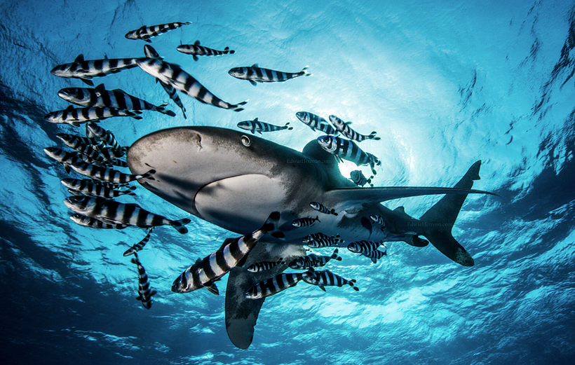 One of Edwar Herreno’s breathtaking photographs.