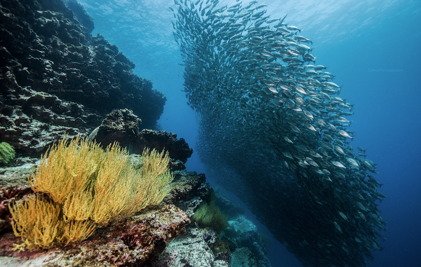One of Edwar Herreno’s breathtaking photographs.