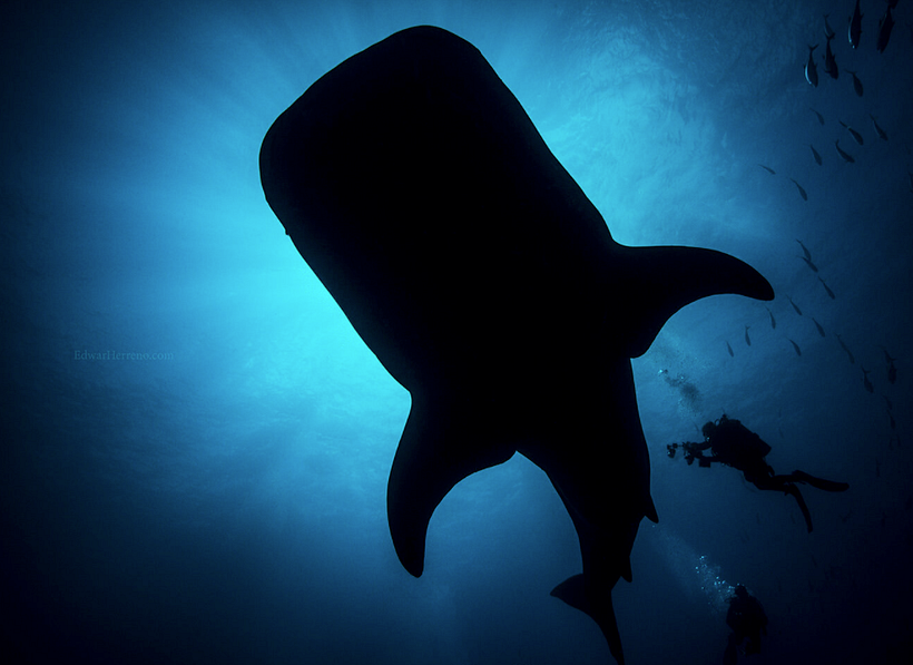 One of Edwar Herreno’s breathtaking photographs.