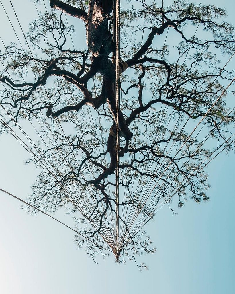 Exemple de composition. Photo par Nicanor García.