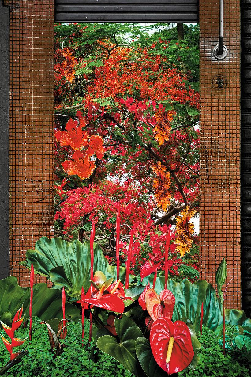 Jardim Imaginário, - Fine art print on methacrylate - 165 x 110 cm.