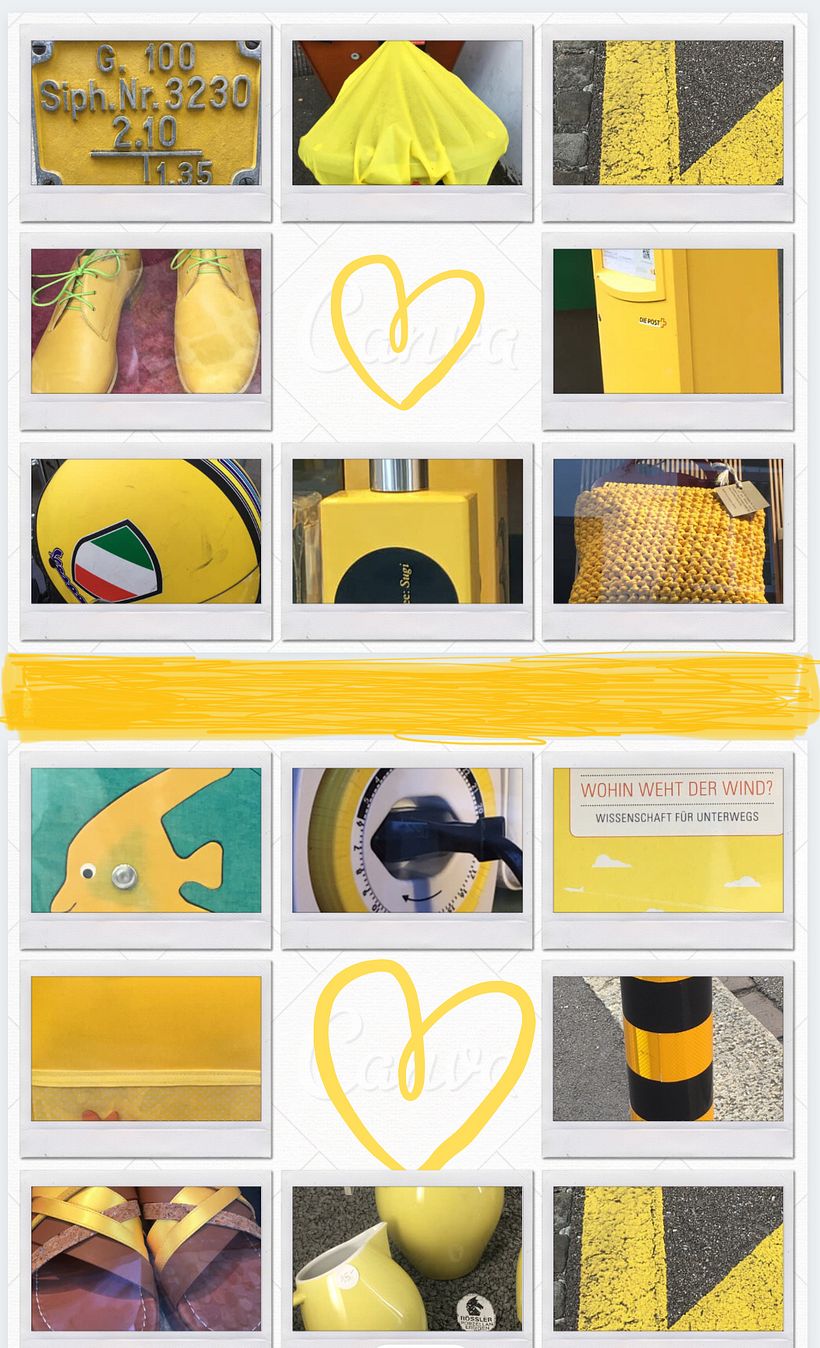 Mi proyecto en amarillo 2