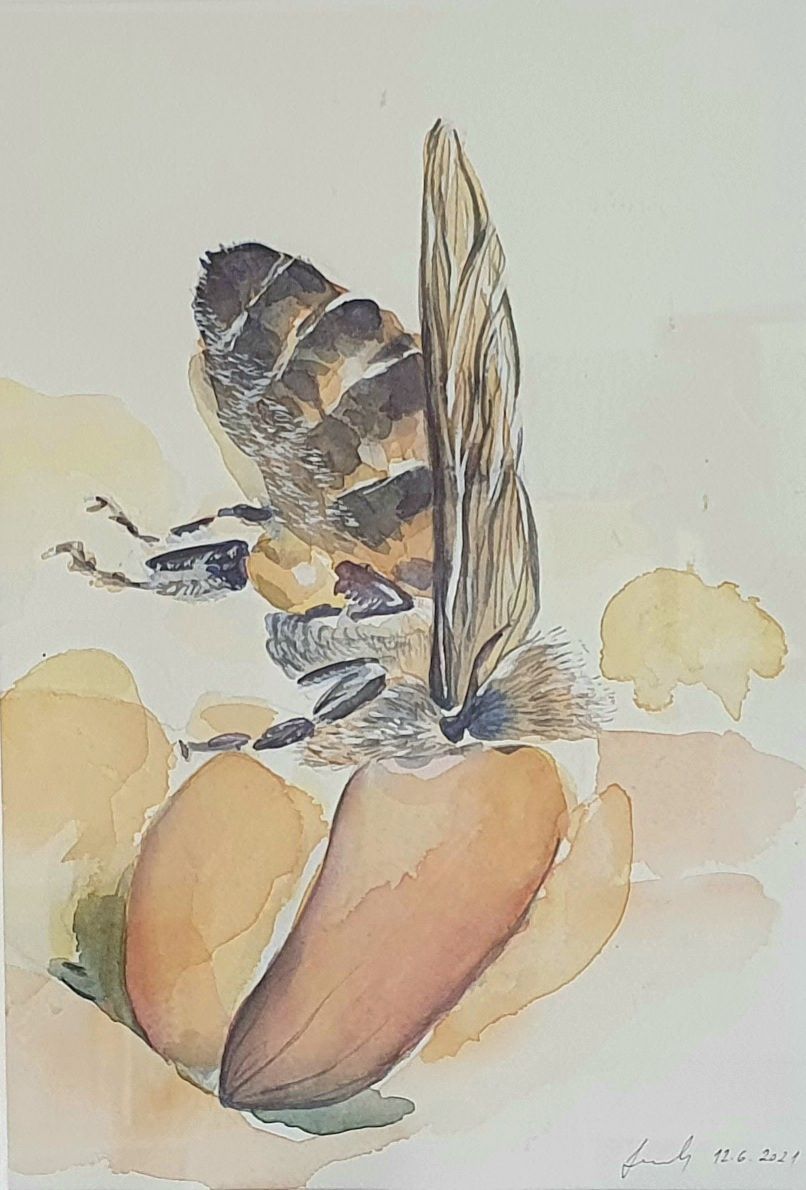 My project in Experimental Watercolor Techniques for Beginners course 2