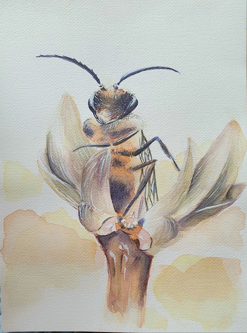 My project in Experimental Watercolor Techniques for Beginners course 3