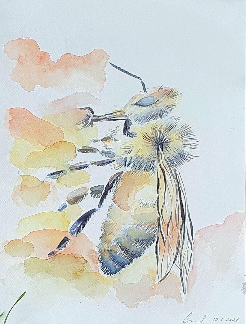 My project in Experimental Watercolor Techniques for Beginners course 4