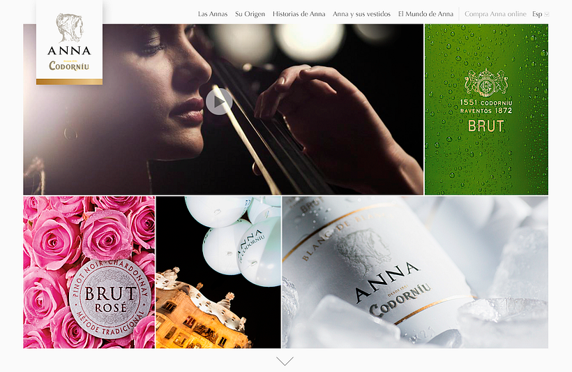 Anna de Codorníu 5