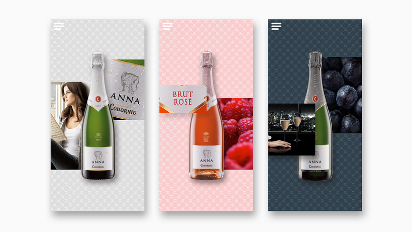 Anna de Codorníu 13