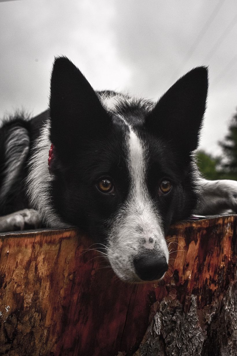 Kikka B. Barkin sesión 1
