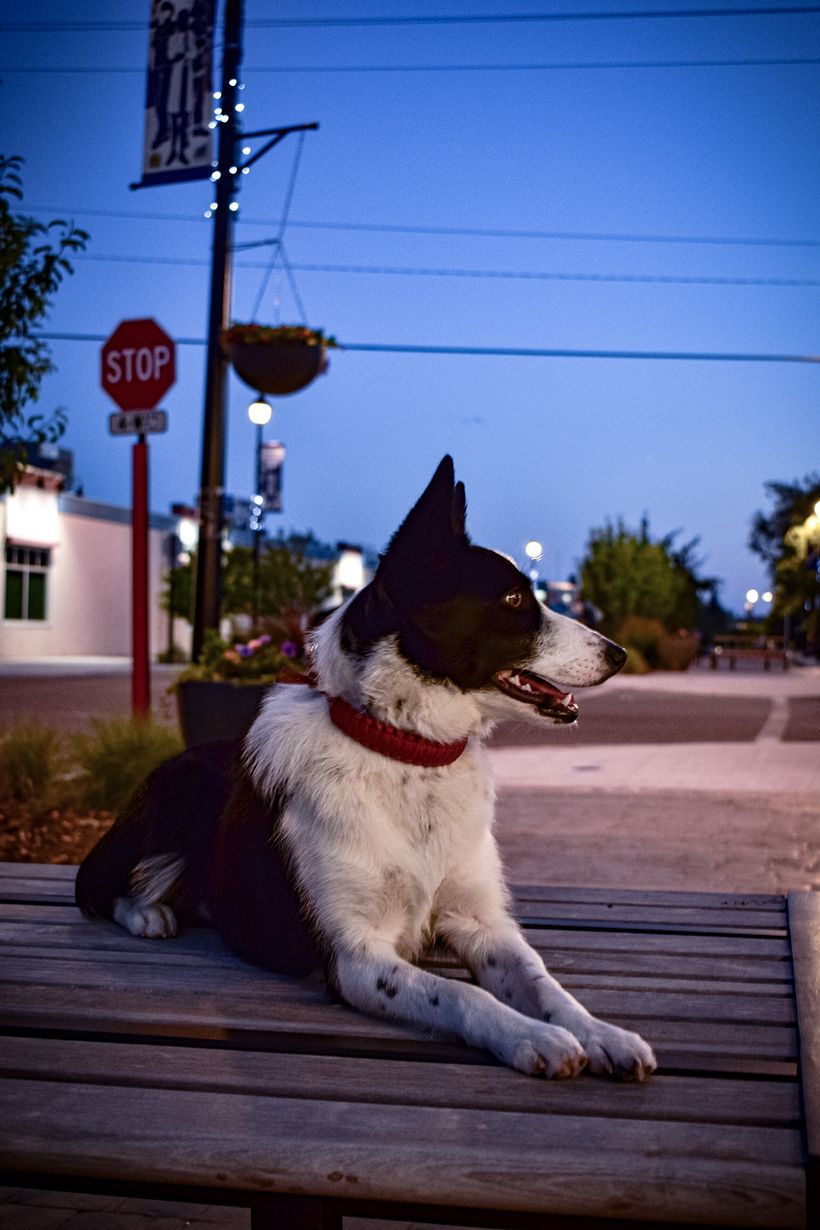 Kikka B. Barkin sesión 2