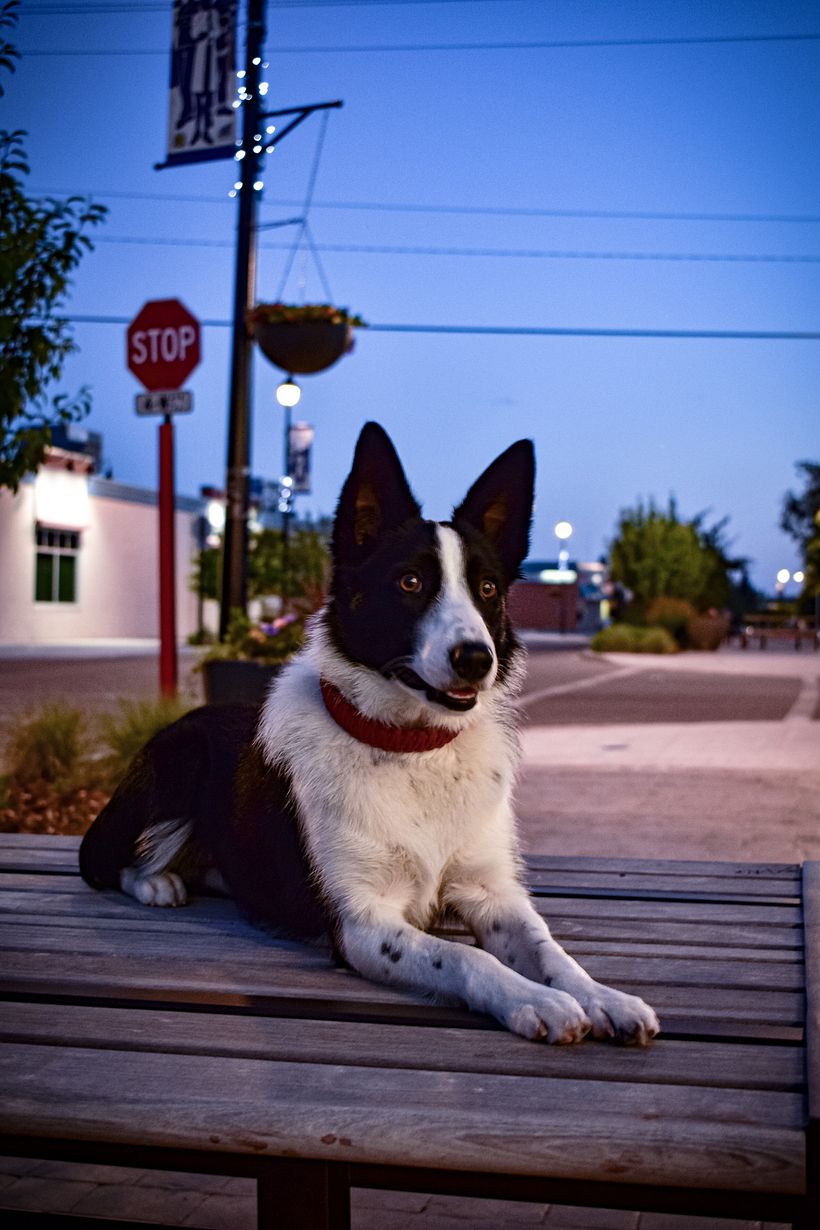 Kikka B. Barkin sesión 2