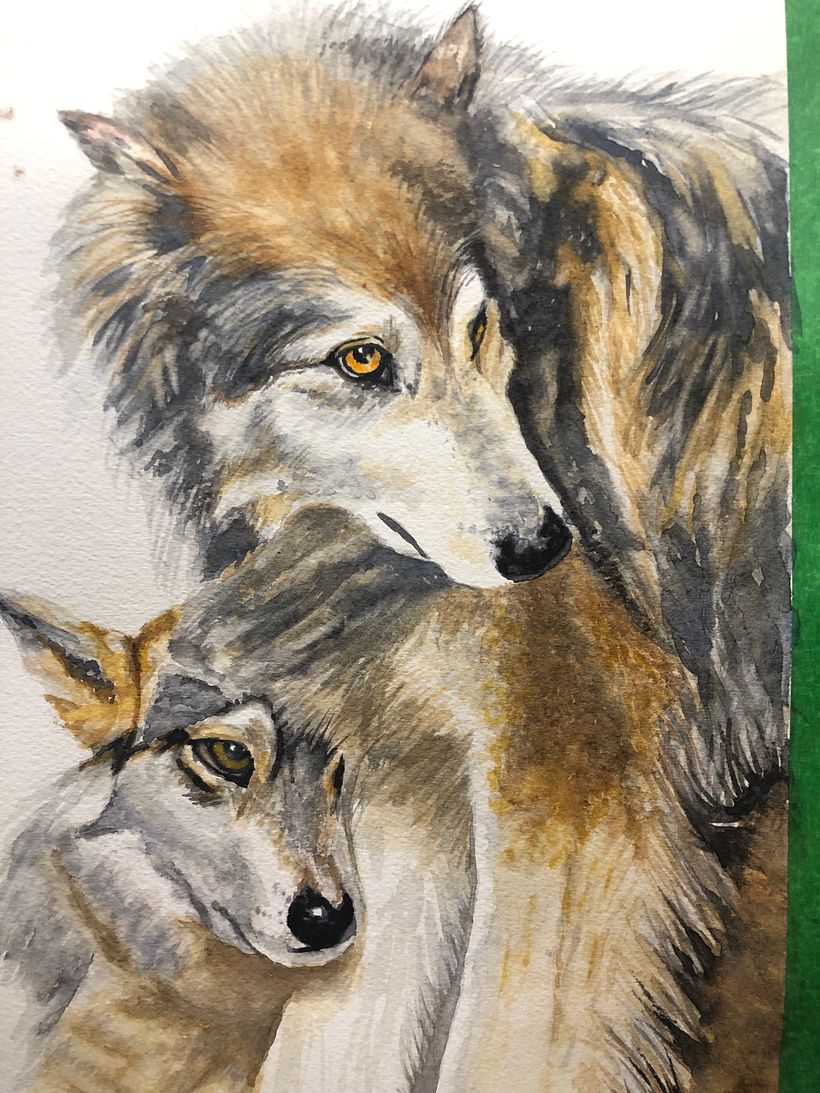 My project in Expressive Animal Portraits in Watercolor course 4