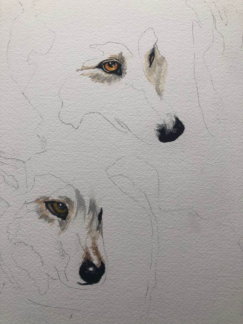 My project in Expressive Animal Portraits in Watercolor course 1