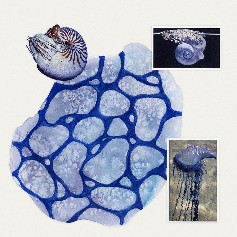 Salt added to watercolor to give a watery atmosphere, a collage of creatures that inhabit this place