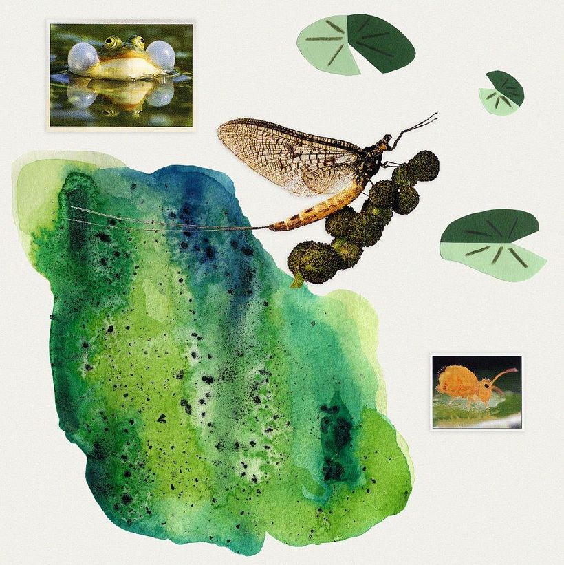 Added black salt to watercolor shades of green to make: a swamp!