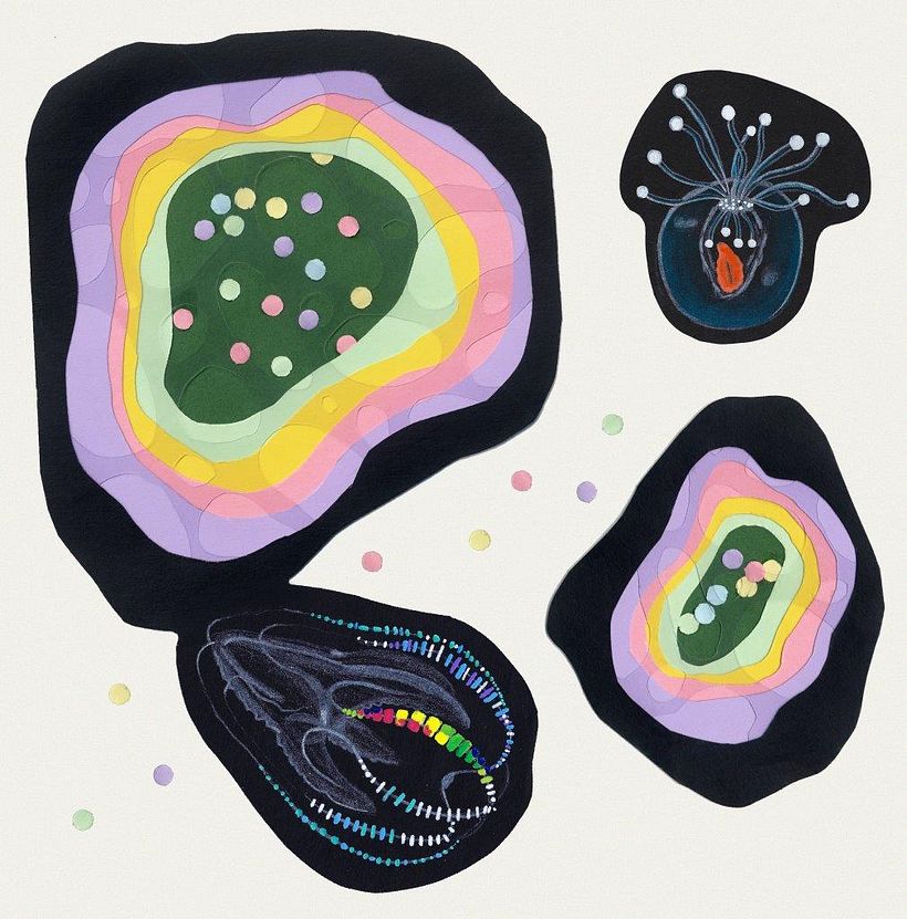 Here we are in the mysterious abyss with the strangest luminous creatures